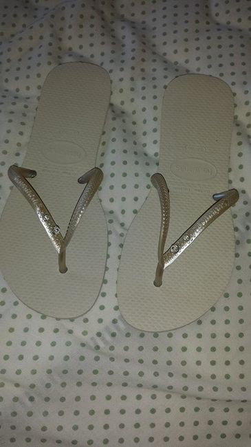 Havaianas