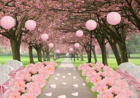 Inspirações : tema flor de cerejeira  - 6
