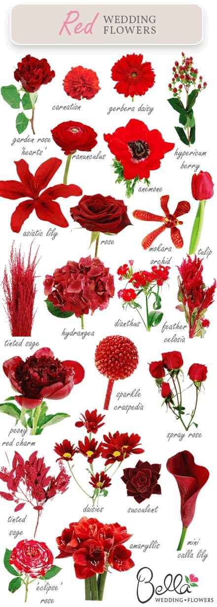 Flores vermelhas