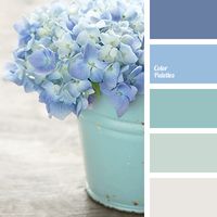 Cores Suaves ou Fortes: ESCOLHE 1 de 2 - 1