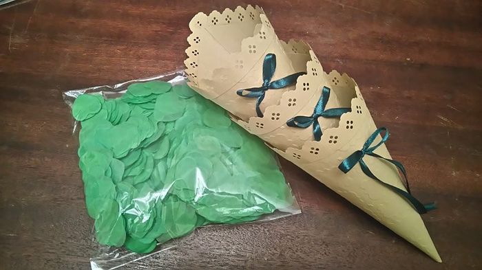 os nossos cones para o arroz (falta terminar)