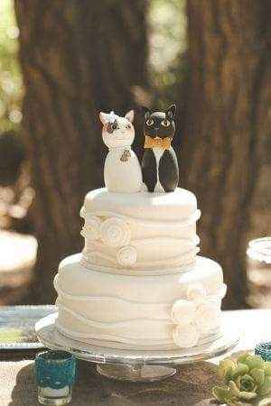 Inspirações para amantes de gatos - 4