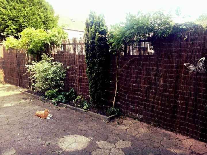 Inspirações para amantes de gatos - 1