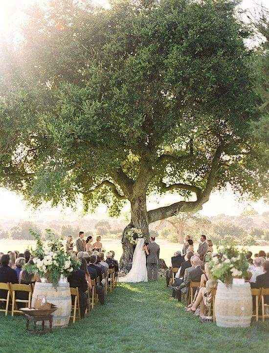 Ideias para um casamento estilo brunch - 4