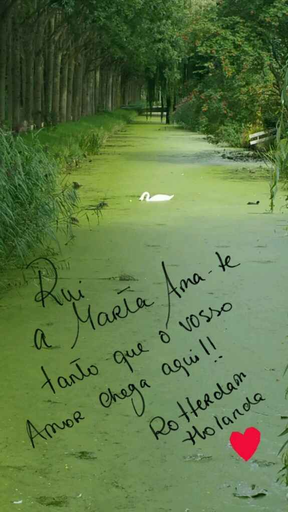 Ajuda surpresa para o noivo!! - 2