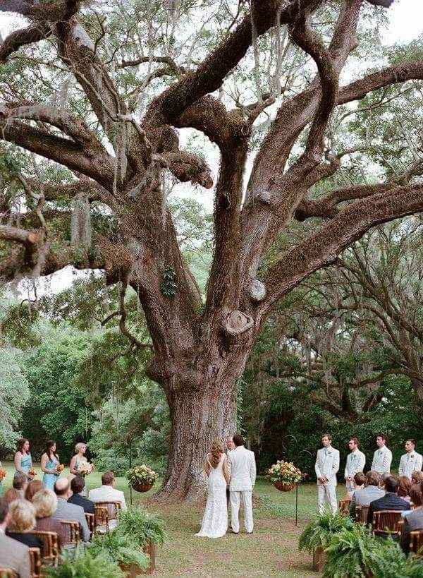 O meu casamento resume.. - 2