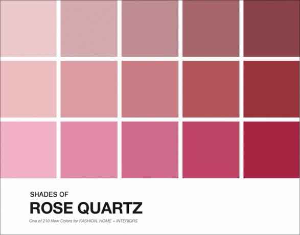 Palete de cores rose
