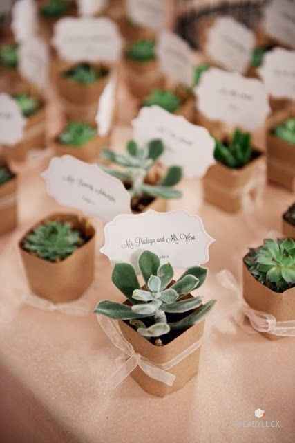 Plantas pequenas, ervas aromáticas ou saquinhos de sementes