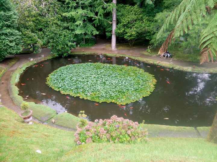 Jardim Terra Nostra