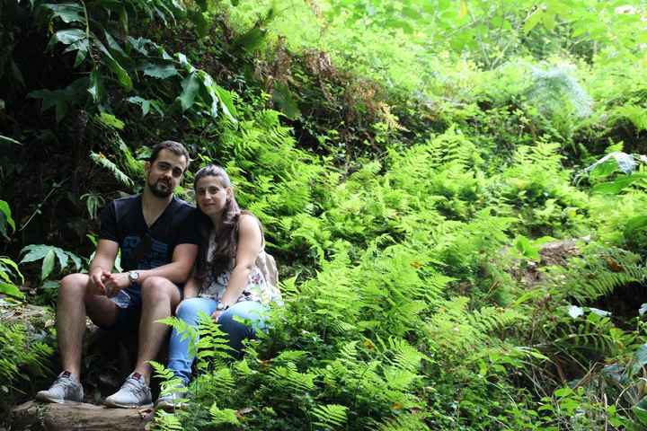 Nós no meio da selva