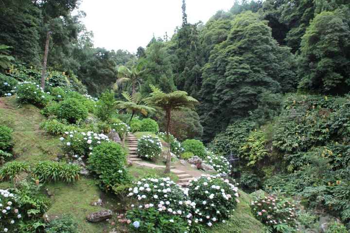 Jardim da Cascata do Véu da Noiva