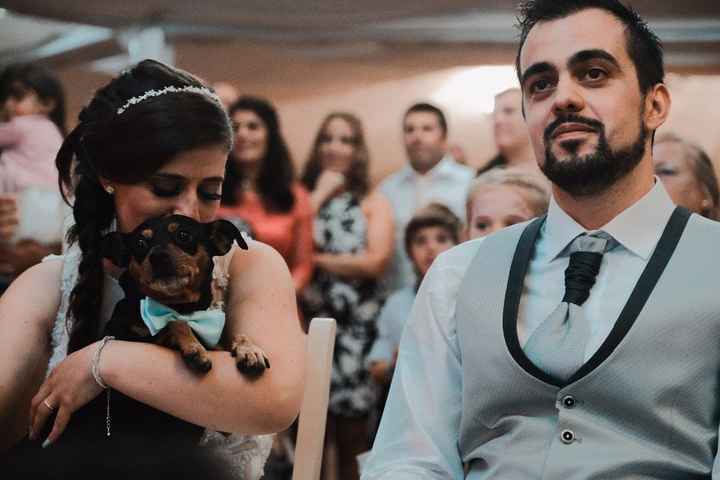 Com o nosso menino de 4 patas