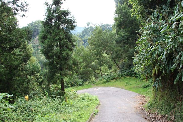Descida até há Cascata