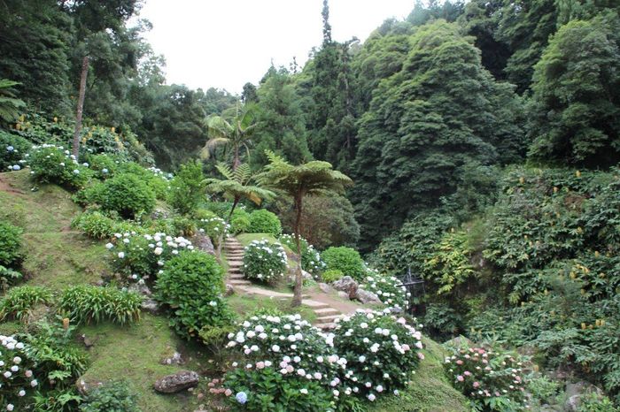 Jardim da Cascata do Véu da Noiva