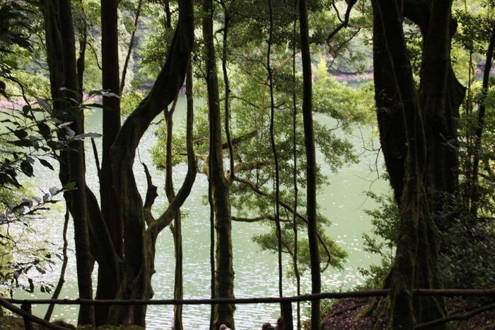 Lagoa do Congro