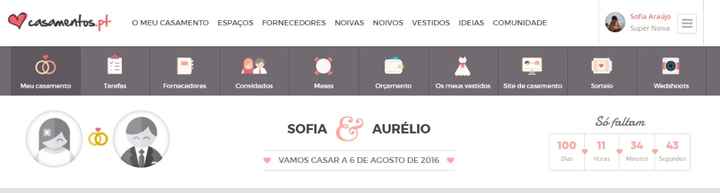 100 dias