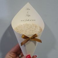 Cones de arroz - 2