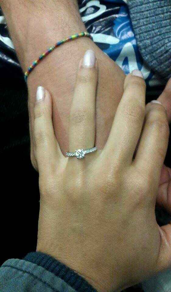 Andreia : apesento-me - 1