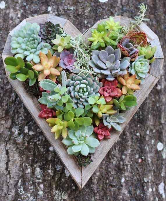 Flores principais da decoração