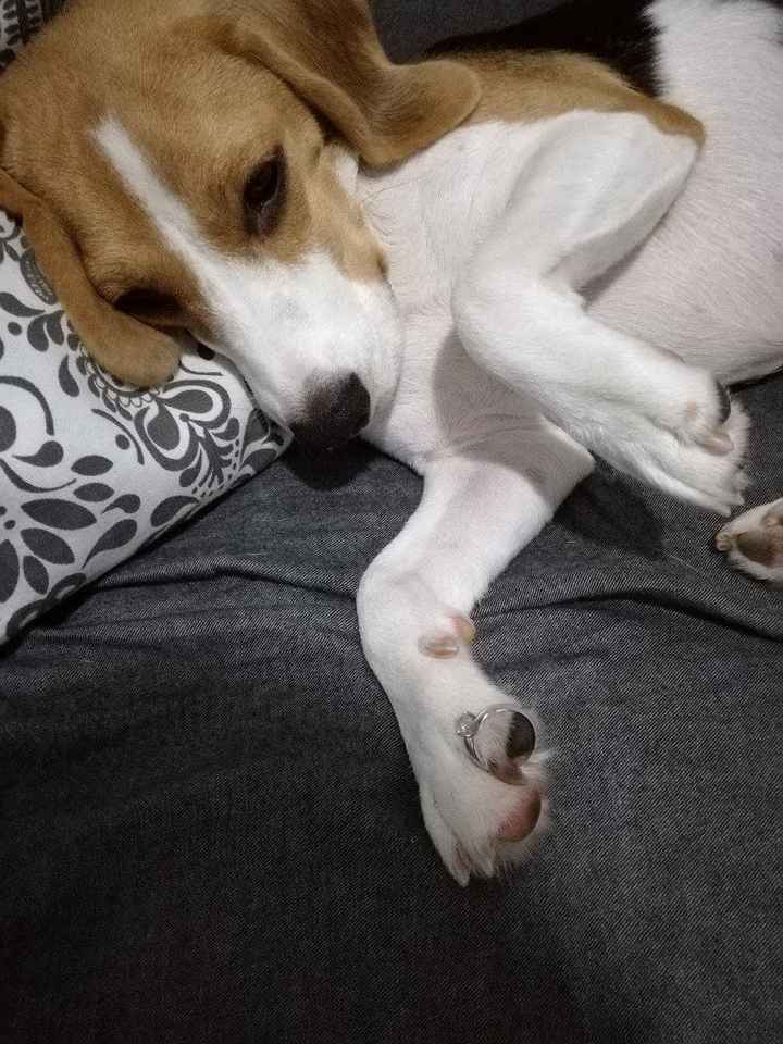 4 meses de noivado - 2