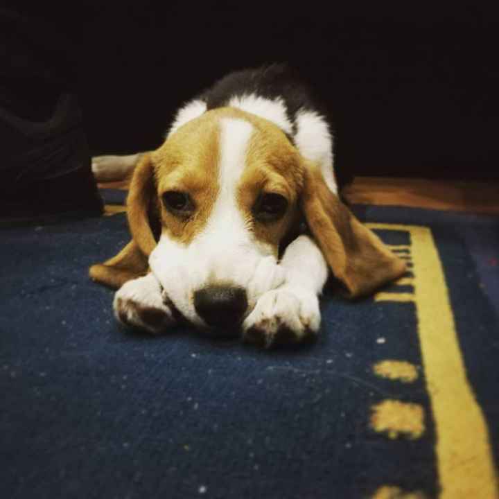 Chloe