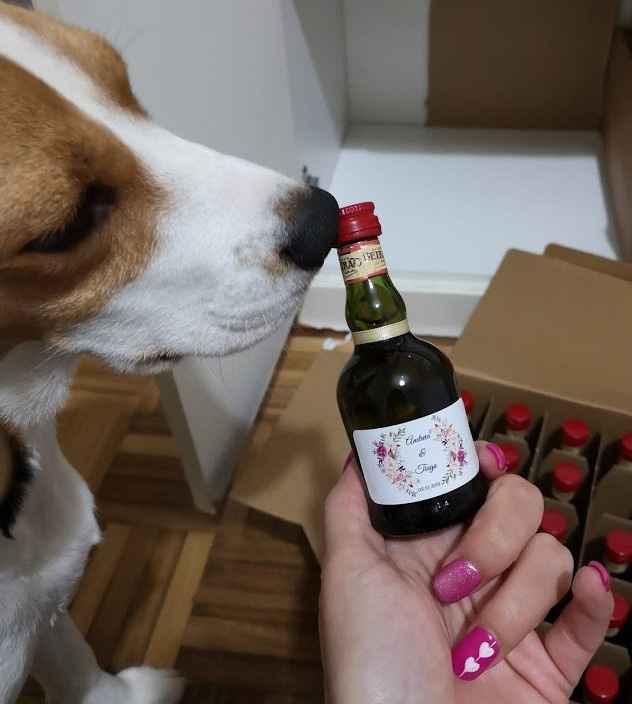 Miniatura parte de Trás + Chloe