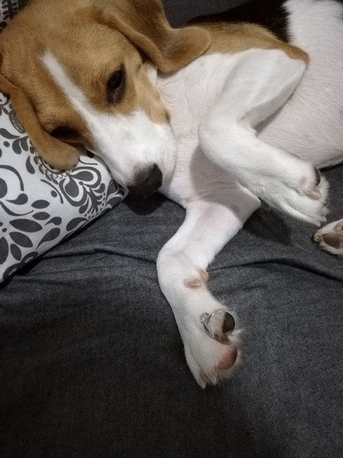 4 meses de noivado - 2