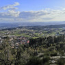 Cátia