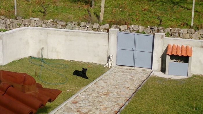 Bom fim-de-semana com pet - 1