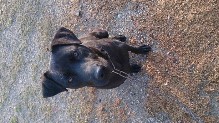 Convidado muito vip - 1