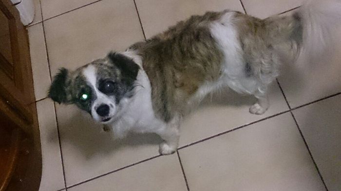 Convidado muito vip - 2