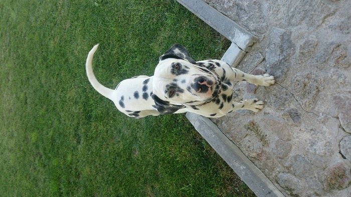 Convidado muito vip - 4