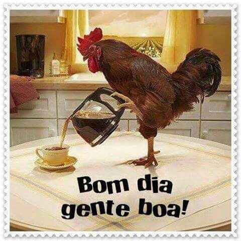 Bom dia alegria - 18/11 - 1