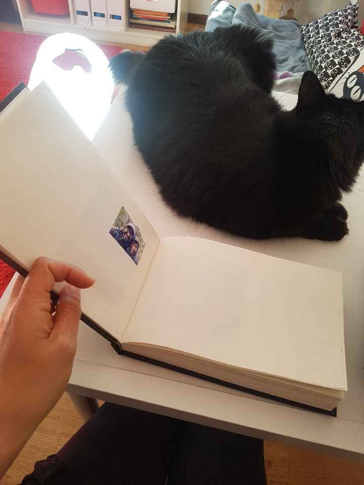 Alguns detalhes terminados - 4