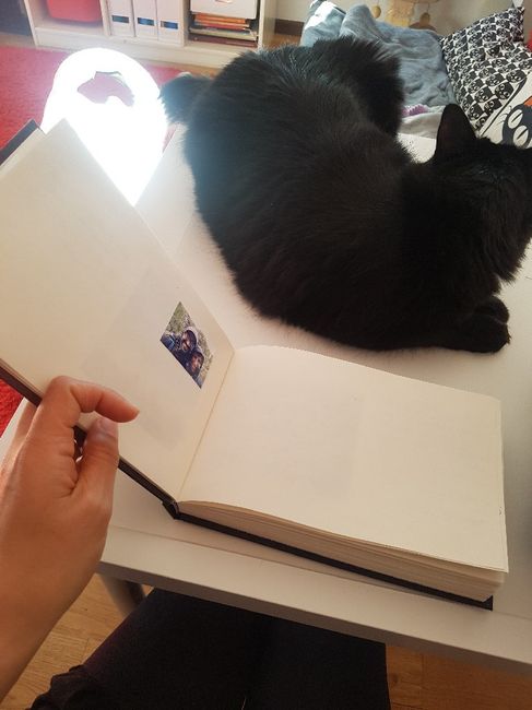 Alguns detalhes terminados - 4