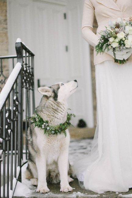 WINTER WEDDING