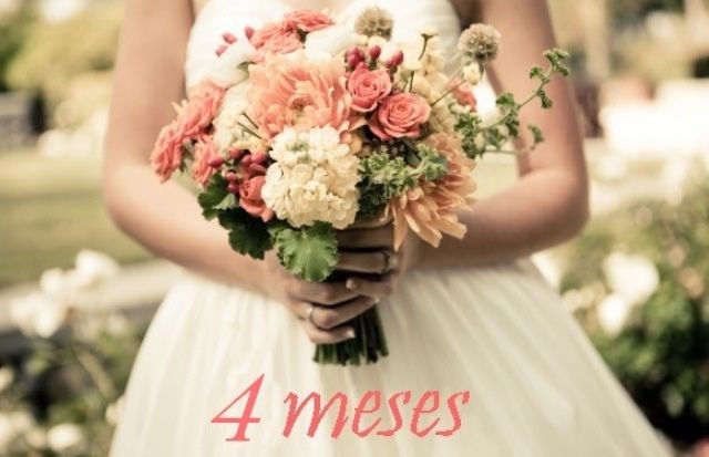 4 meses - 2