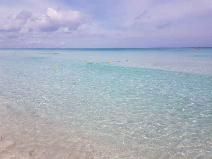 Primeira Lua-de-mel - 2