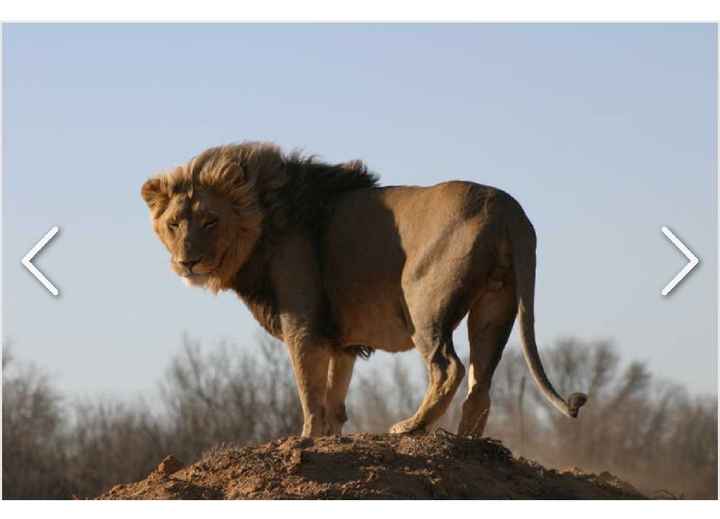 Check Lua-de-mel💙💙 - 2