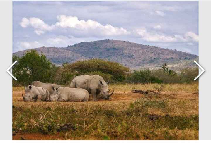 Check Lua-de-mel💙💙 - 5