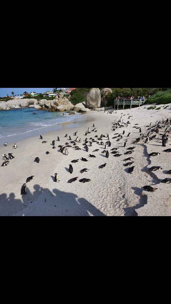 Casada e feliz💙😍 - 16