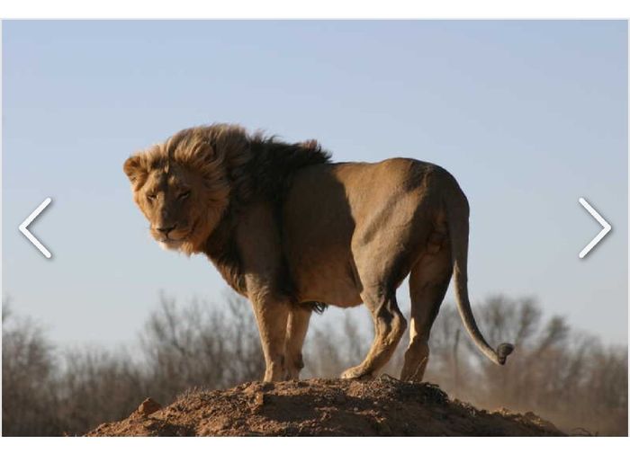 Check Lua-de-mel💙💙 - 2