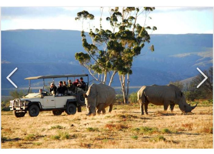 Check Lua-de-mel💙💙 - 7