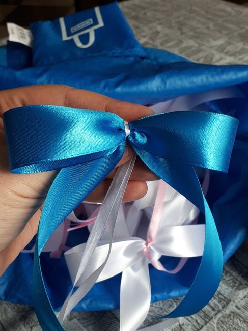 Carro dos Noivos e Convidados - 1