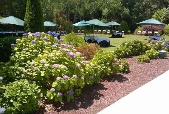 jardim
