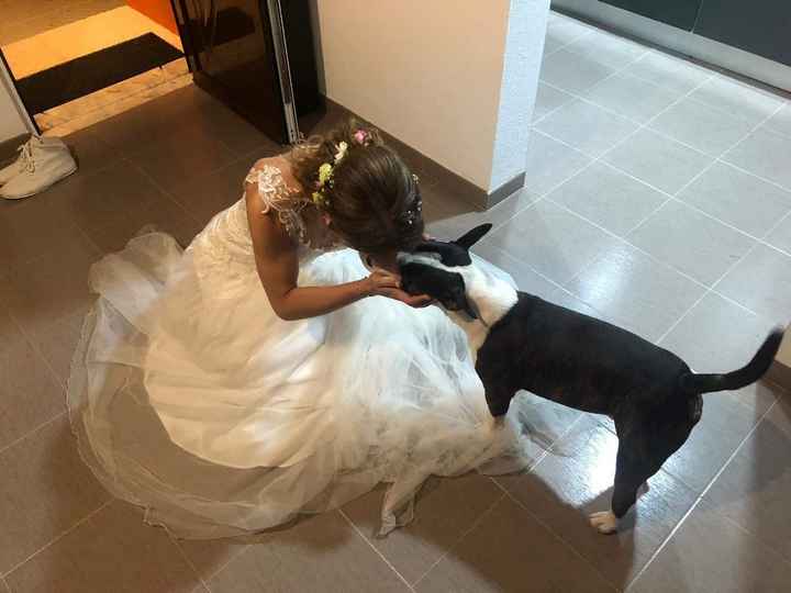 Just married... em modo lua de mel - 8