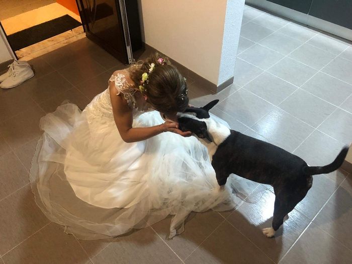 Just married... em modo lua de mel - 8