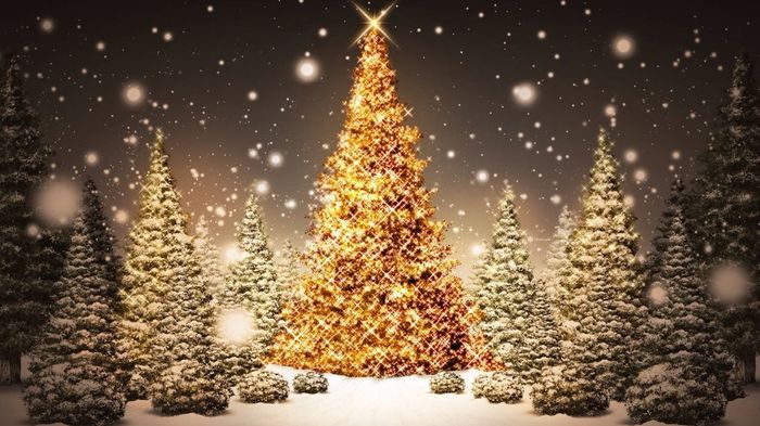Feliz natal - 2