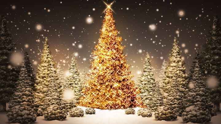 Feliz natal - 2