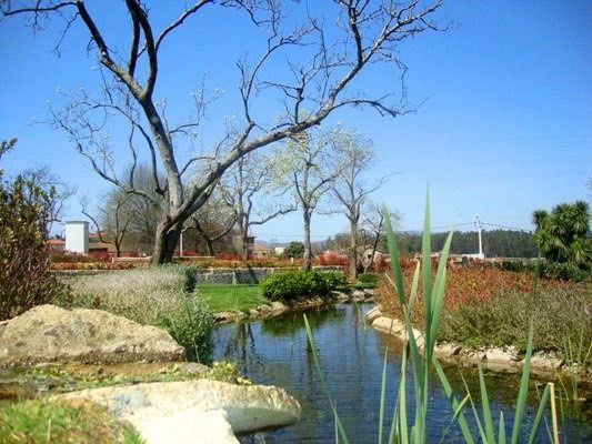Quinta 2